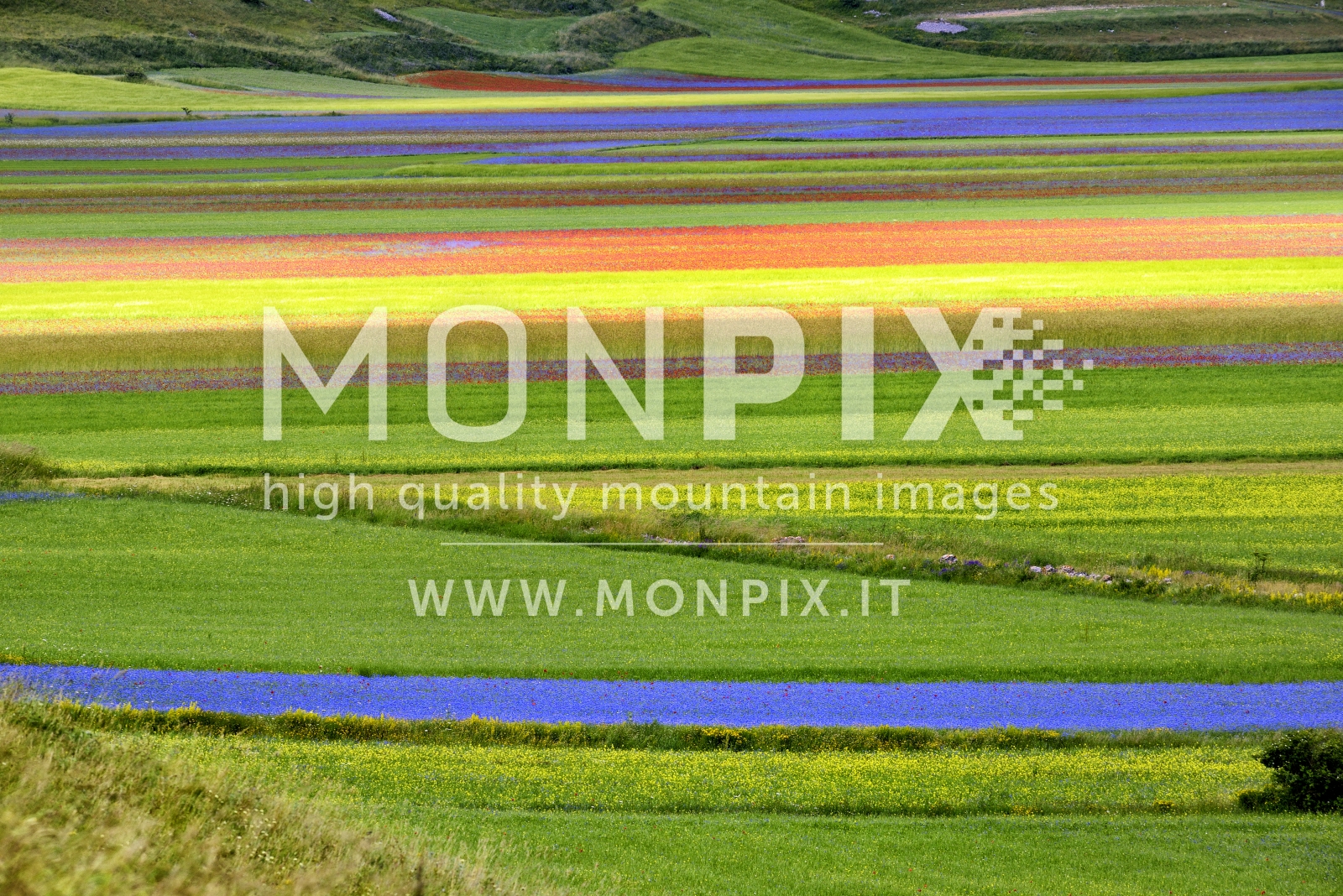 Castelluccio di Norcia, sfumature di colore 