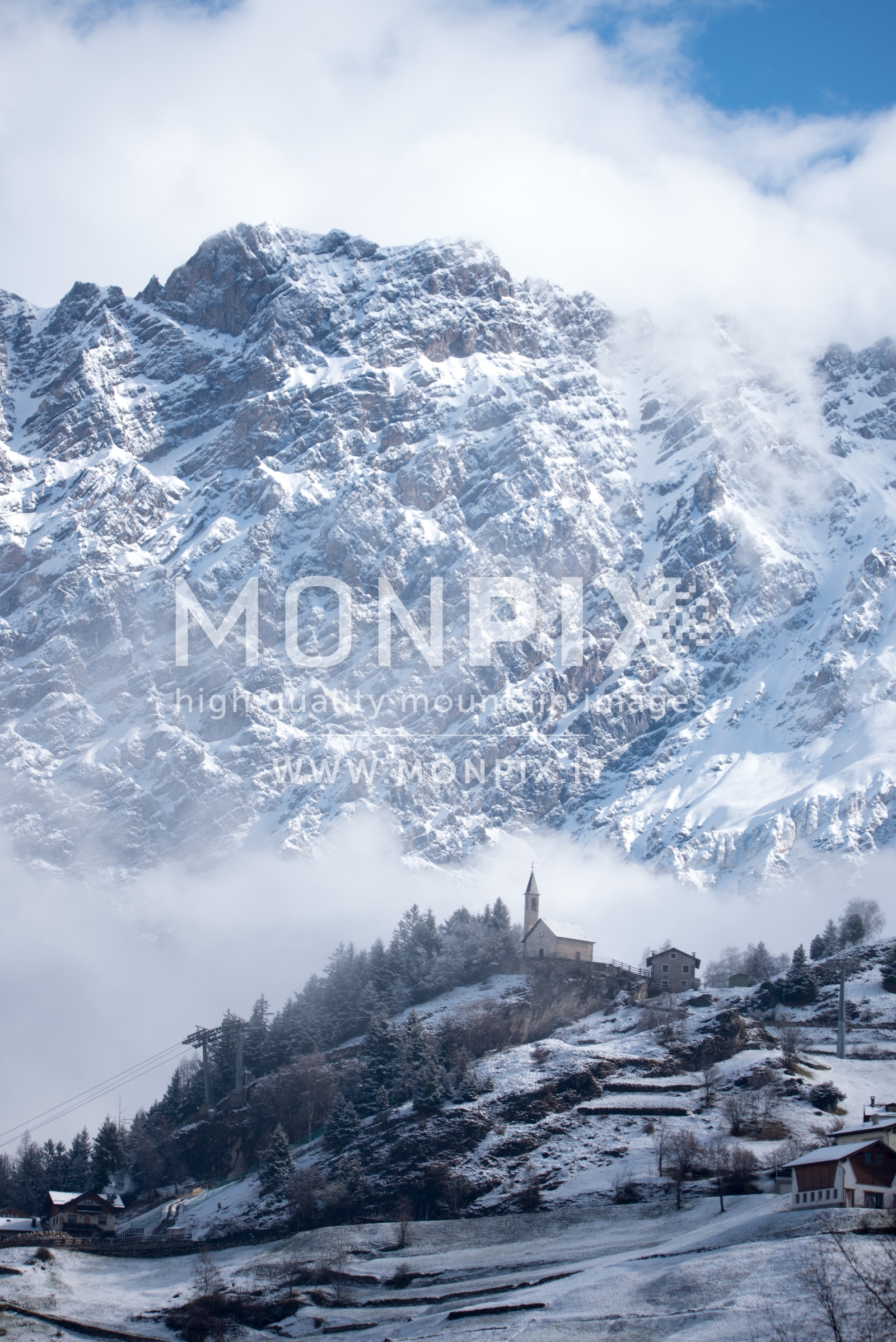 monte reit