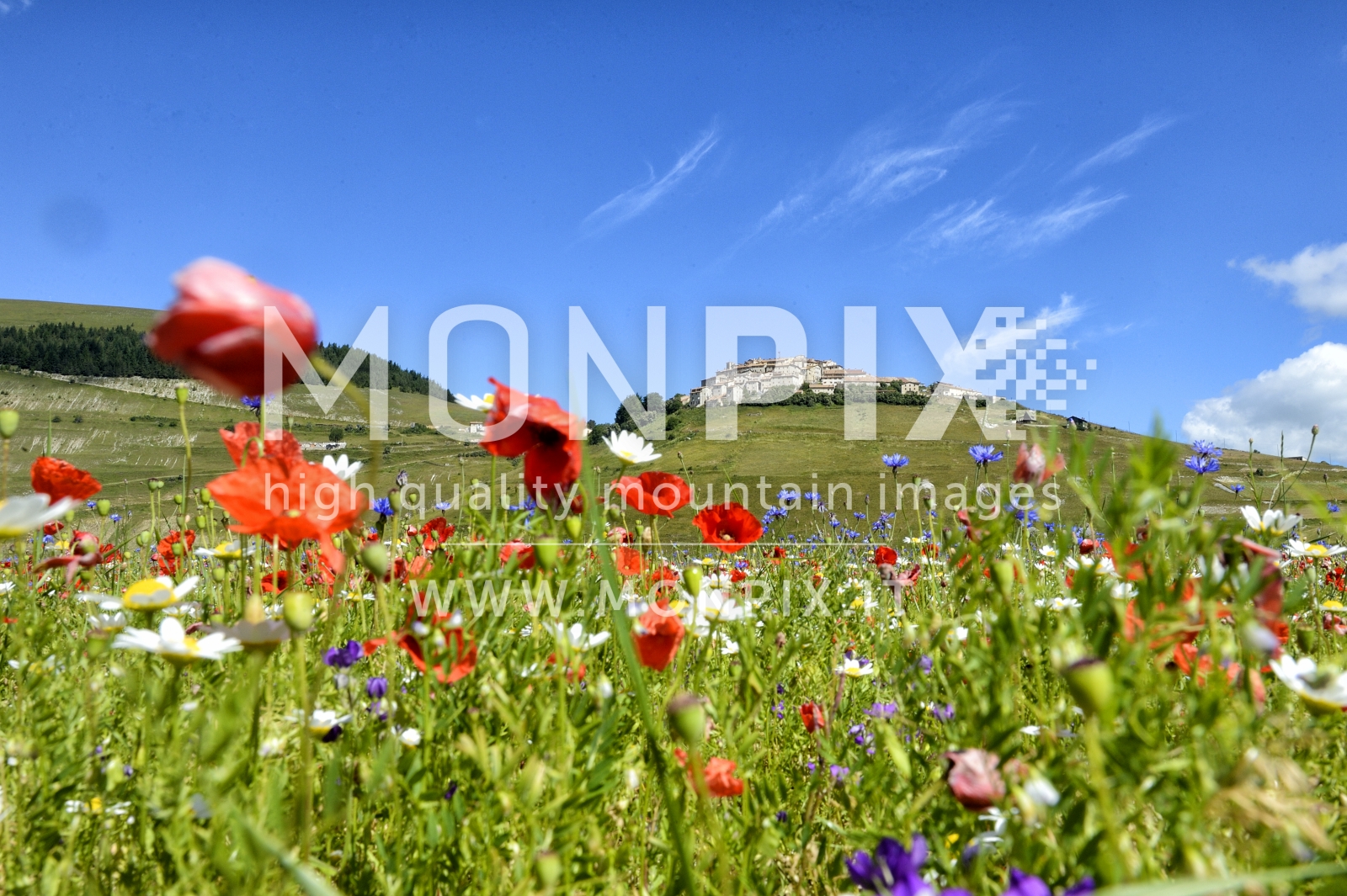 Castelluccio di Norcia, sfumature di colore