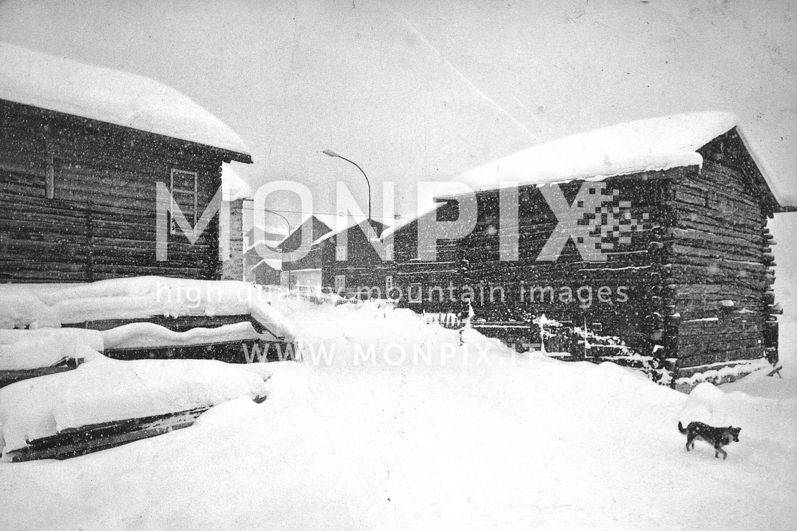 Scende la neve