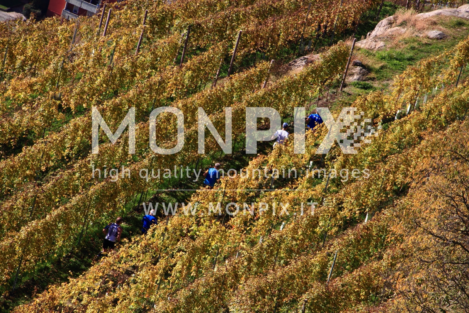VALTELLINA WINE TRAIL