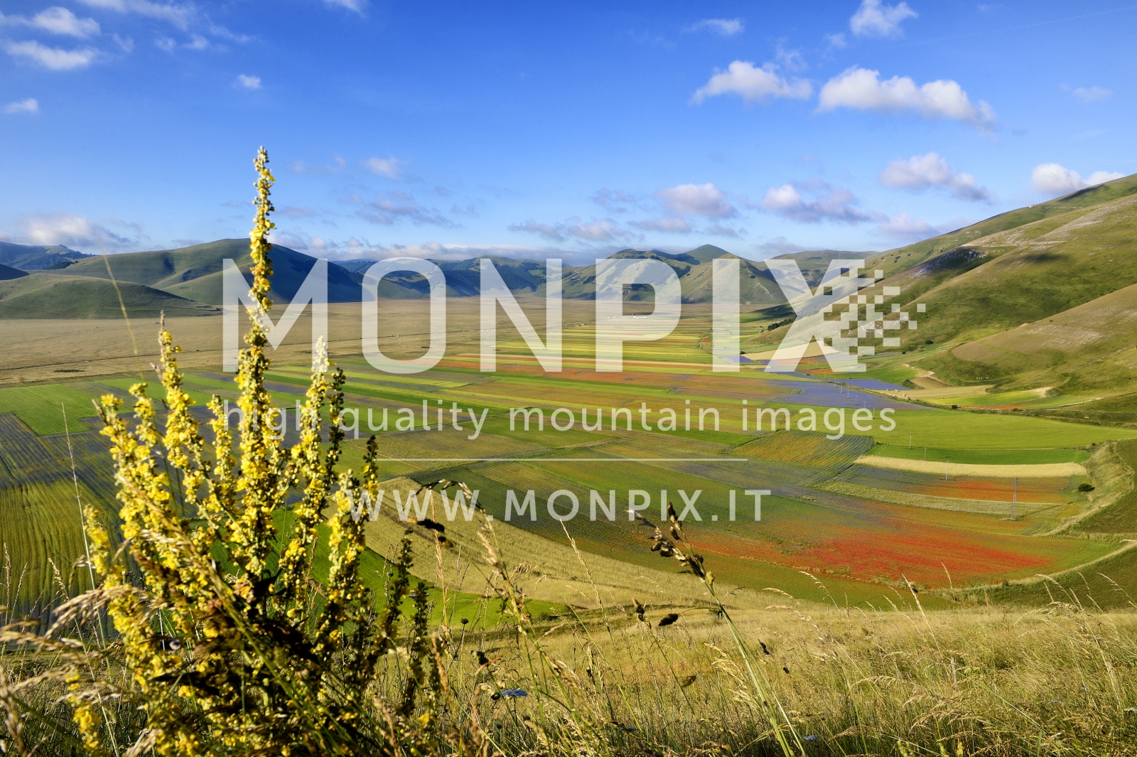 Castelluccio di Norcia, sfumature di colore