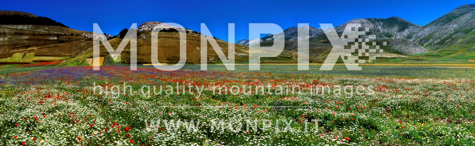 Castelluccio di Norcia, sfumature di colori 