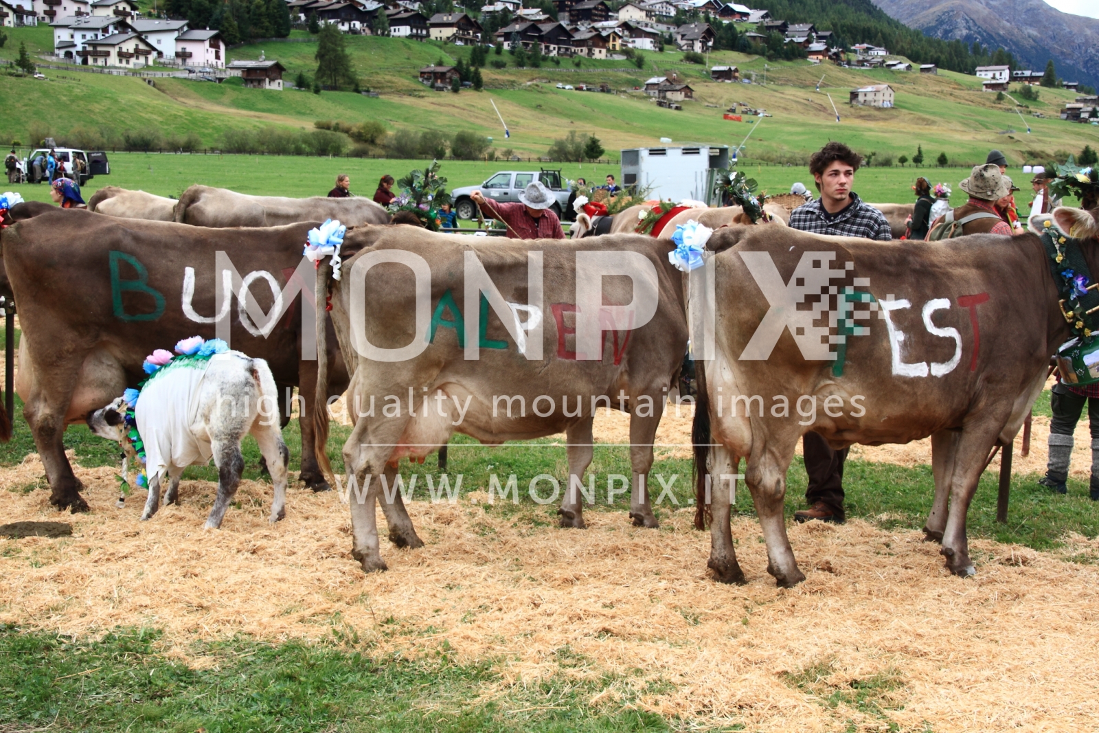 alpen fest livigno