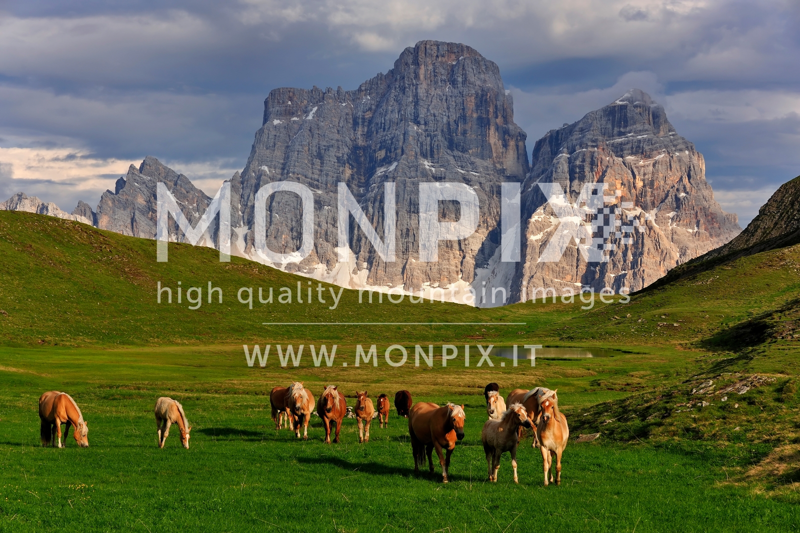 Cavalli al pascolo a Mondeval
