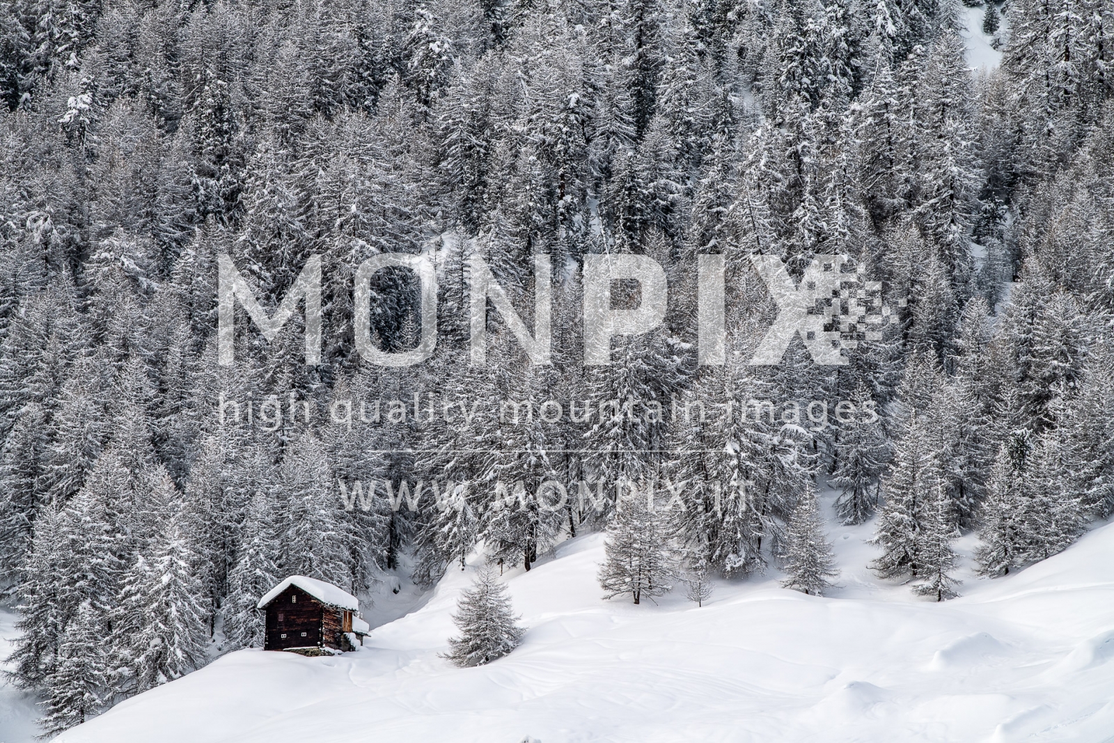 winter Livigno
