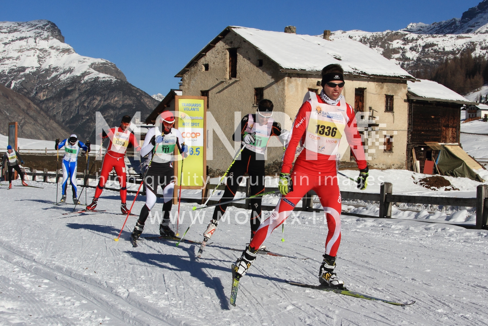 sgambeda 2014