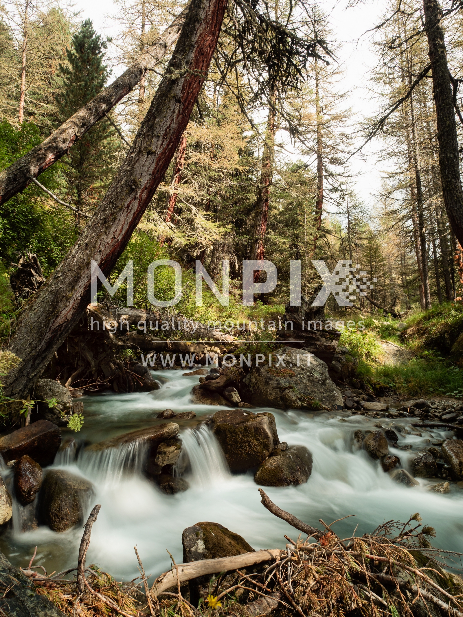 Torrente Valle delle Mine 2018