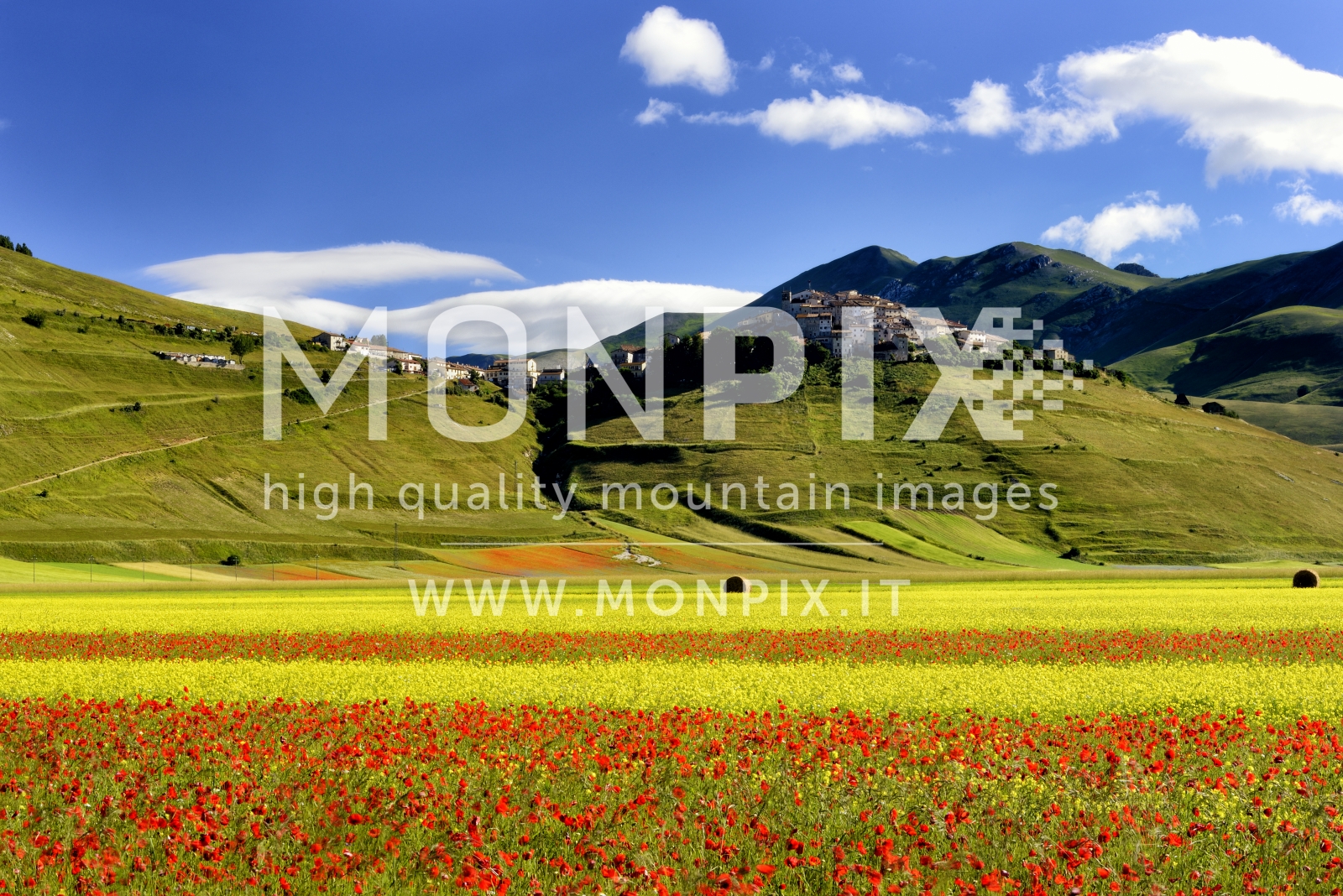 Castelluccio di Norcia, sfumature di colore