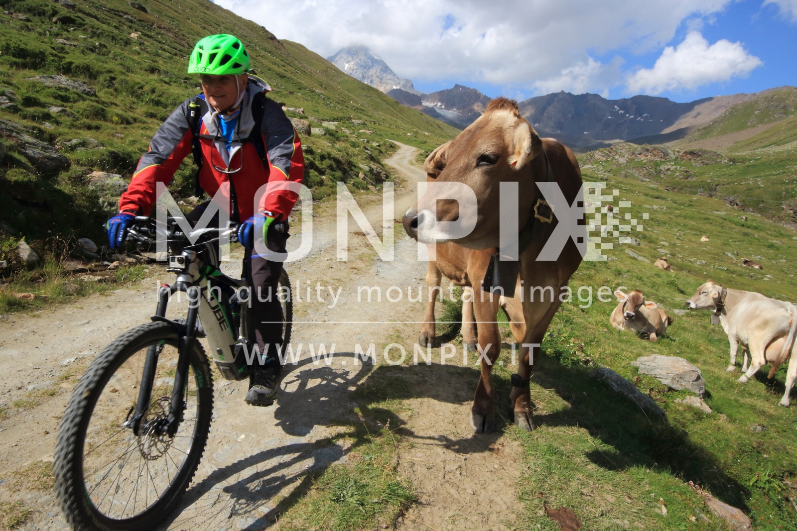 MTB MUCCA