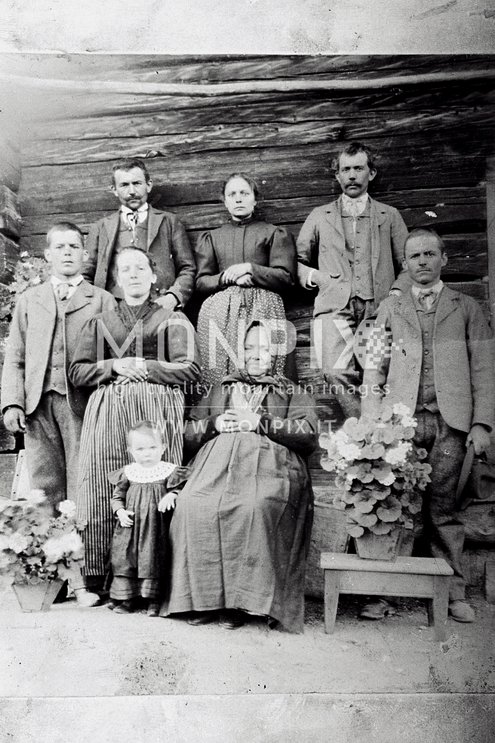 Foto di famiglia in posa 