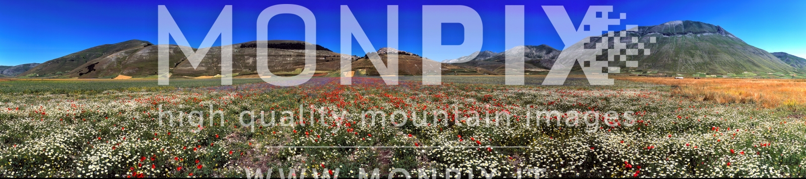Castelluccio di Norcia, sfumature di colori 