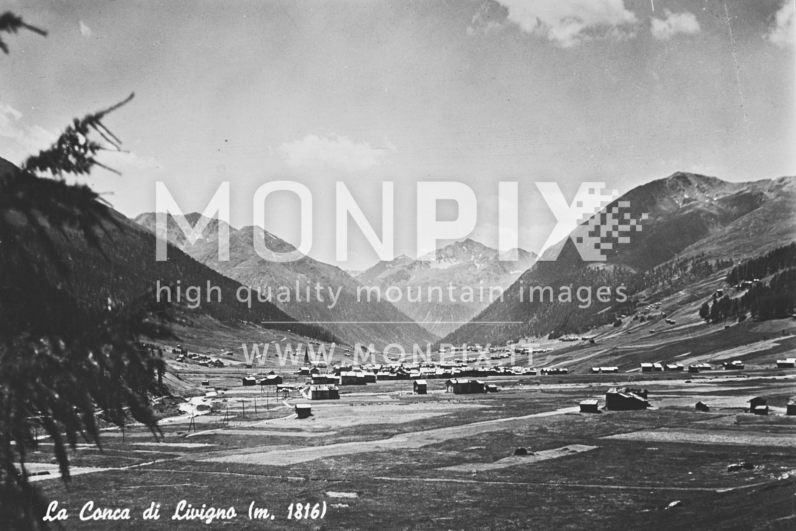 La conca di Livigno 