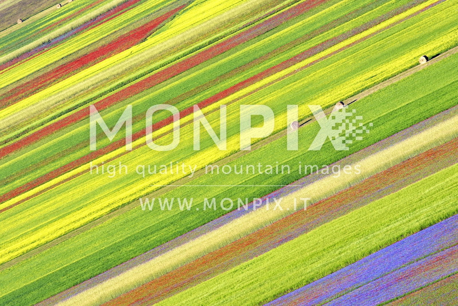 Castelluccio di Norcia, sfumature di colore