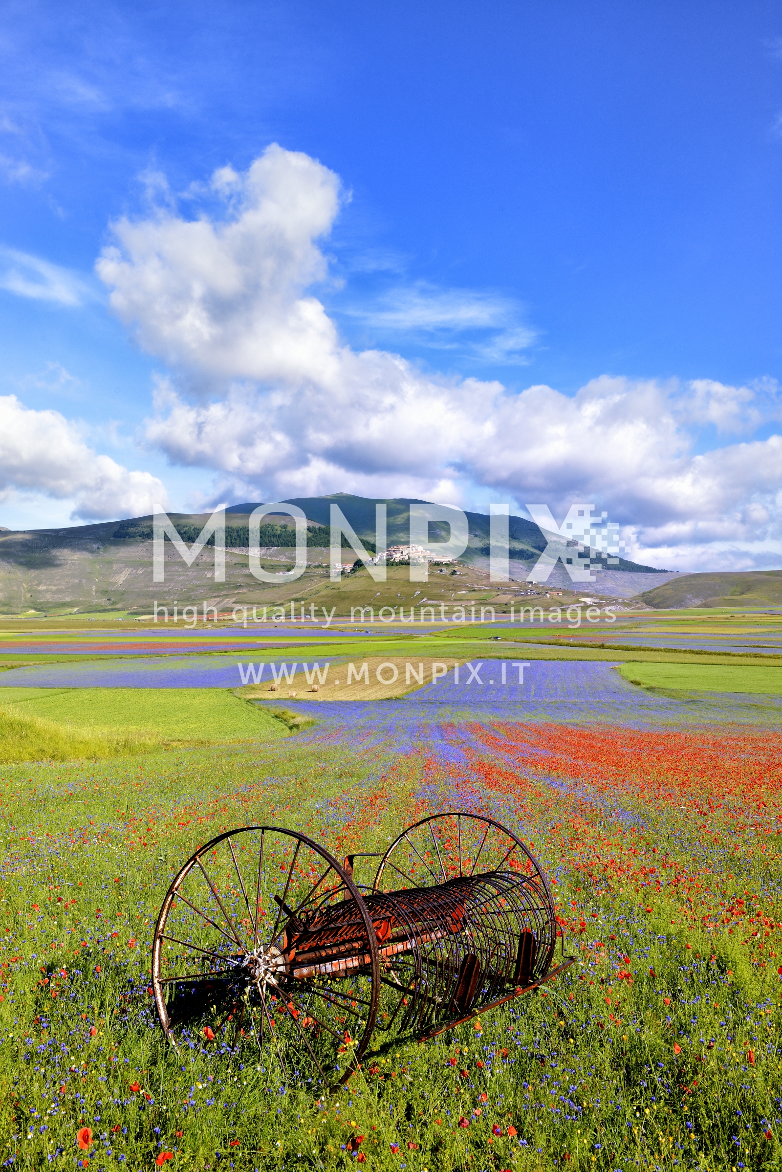 Castelluccio di Norcia, sfumature di colore 