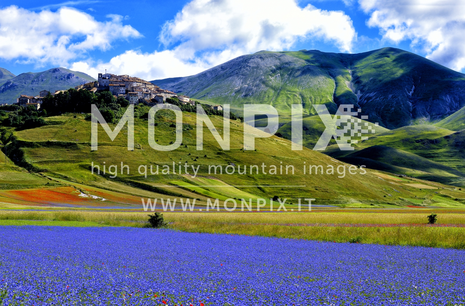 Castelluccio di Norcia, sfumature di colore