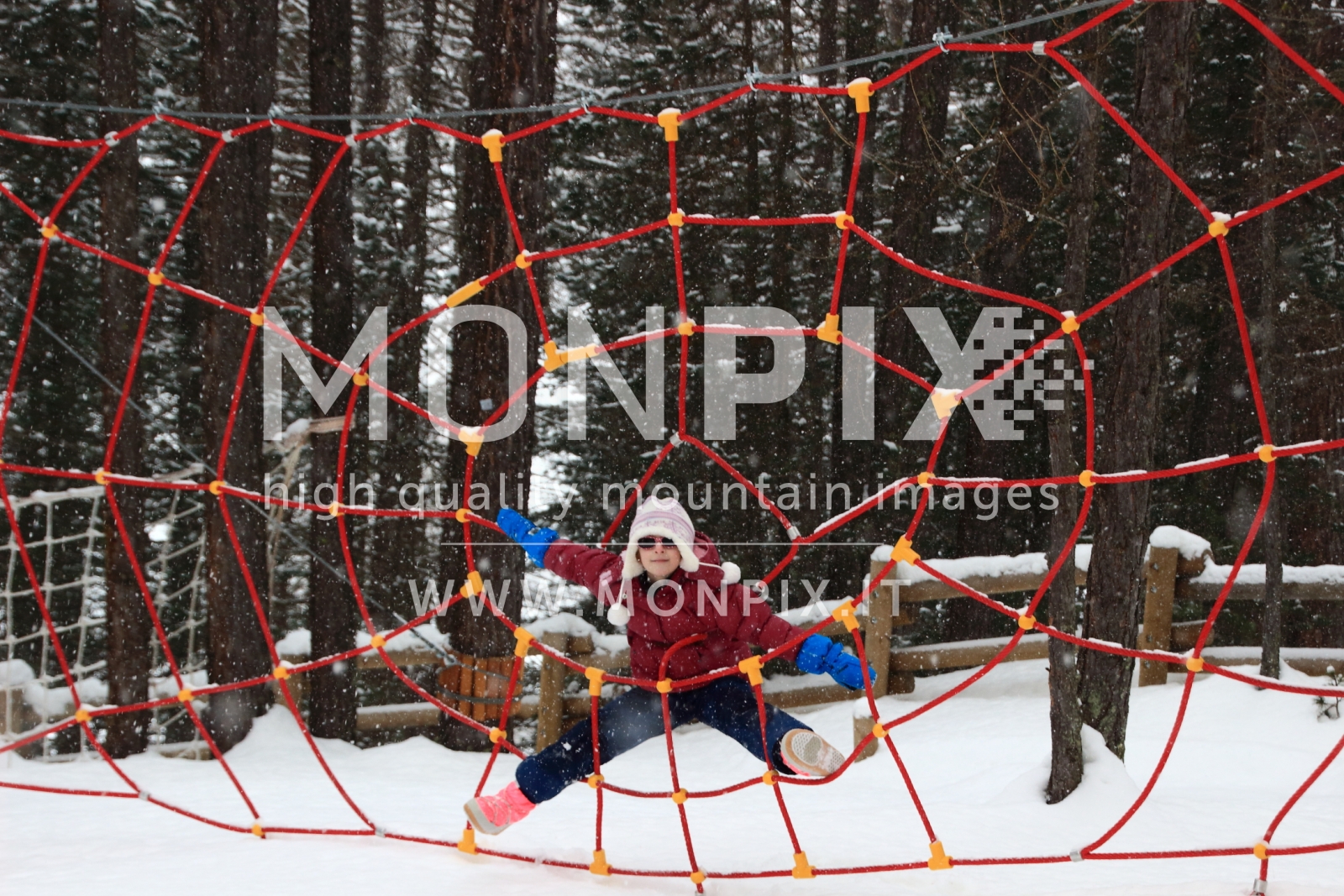 LARIX PARK