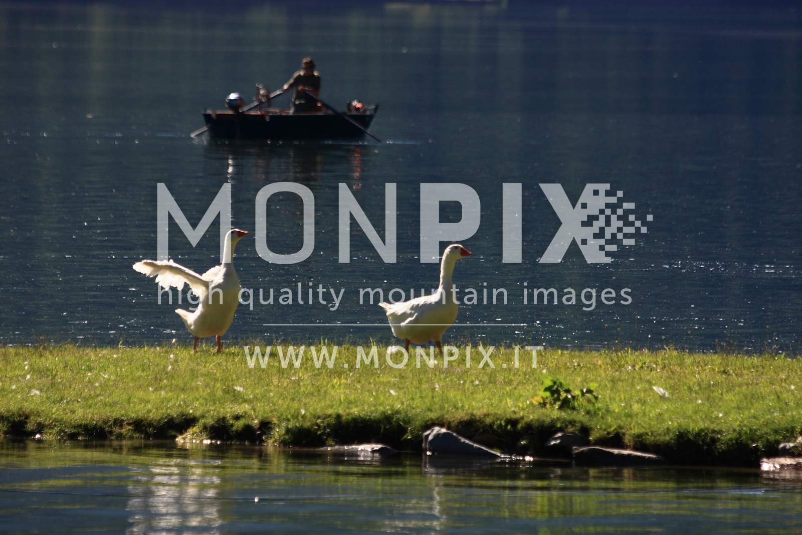 OCHE AL LAGO DI POSCHIAVO
