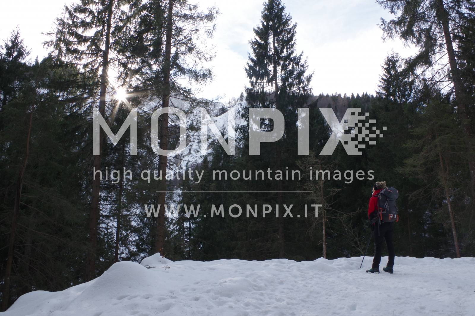 Salendo al Rifugio Alpe Corte