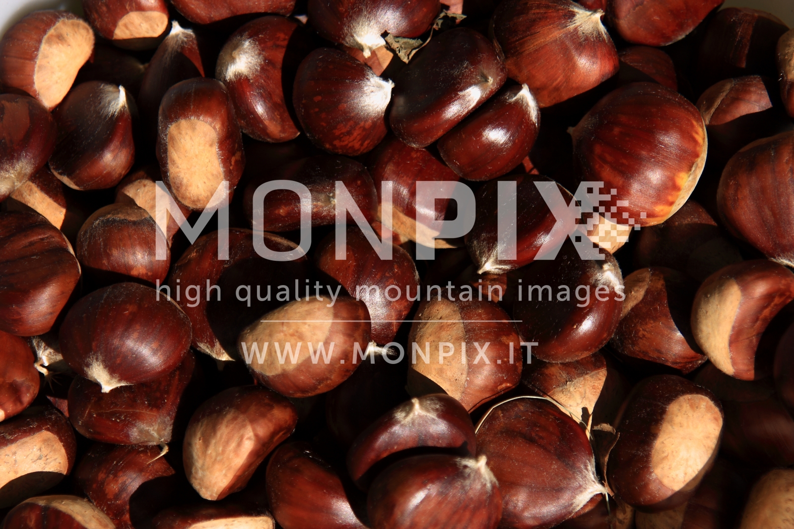 CASTAGNE