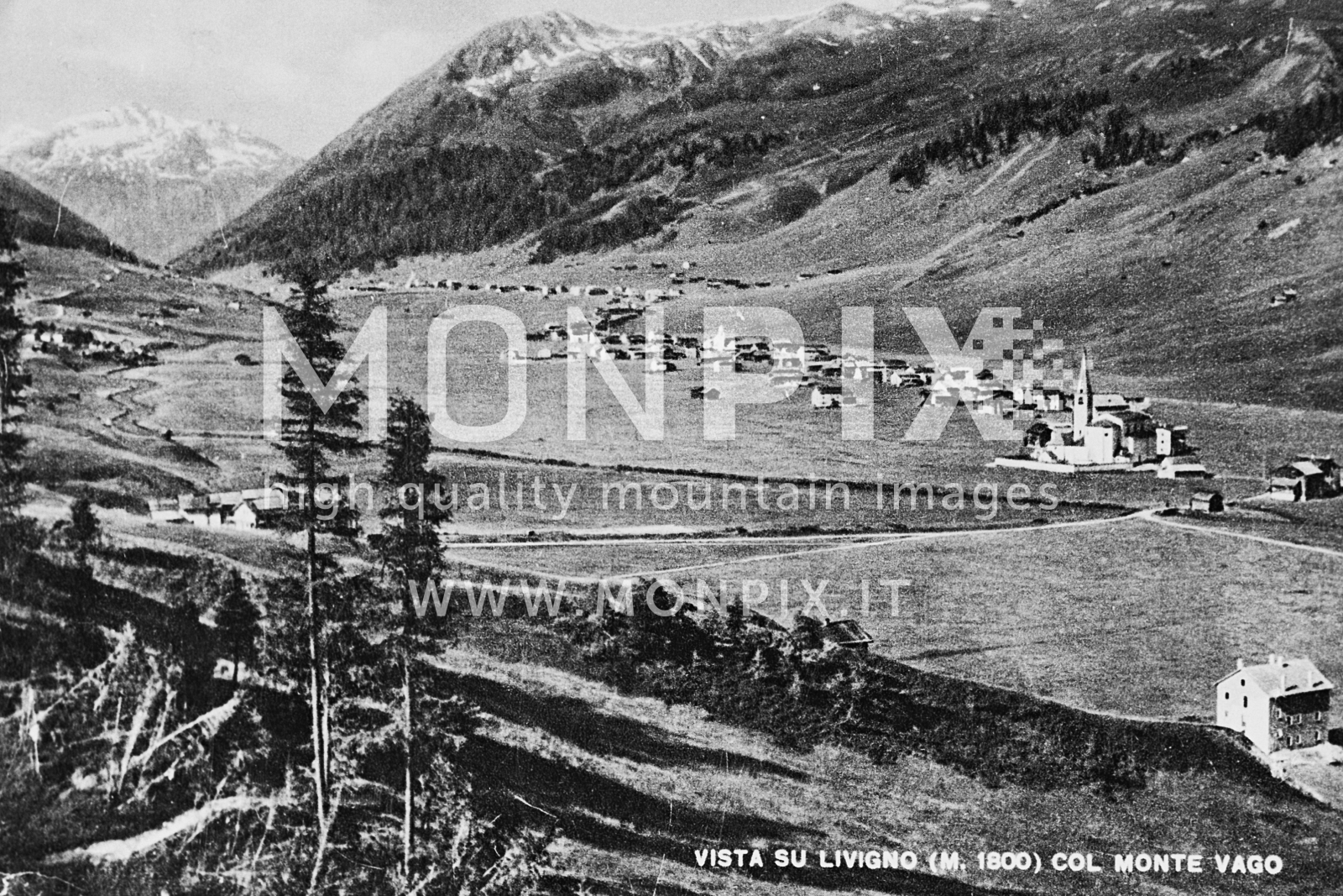 Vista su Livigno con il Monte Vago 