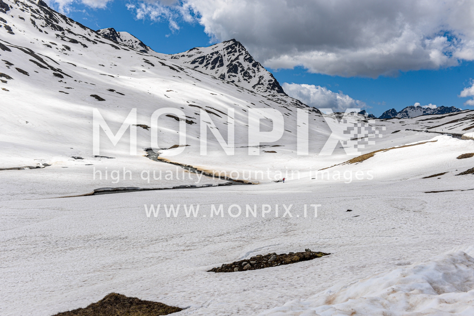 sci estivo sul gavia